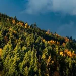 Wohin im November reisen