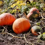 Wohin im Oktober reisen